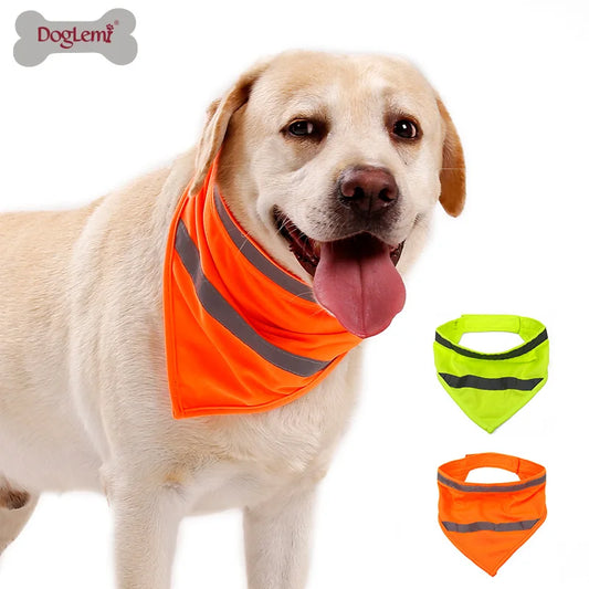 "Adventurer" Reflective Bandana