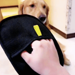 The Ultimate Shed Control Kit