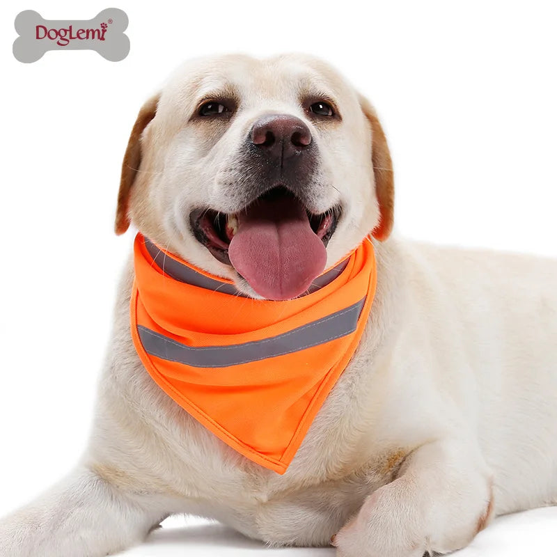 "Adventurer" Reflective Bandana