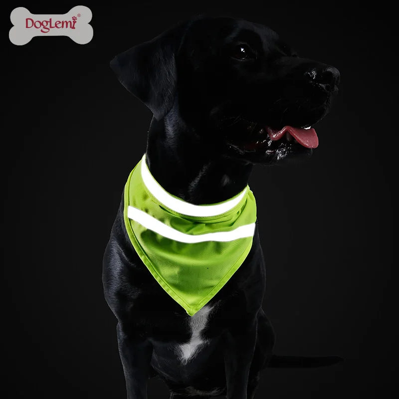 "Adventurer" Reflective Bandana