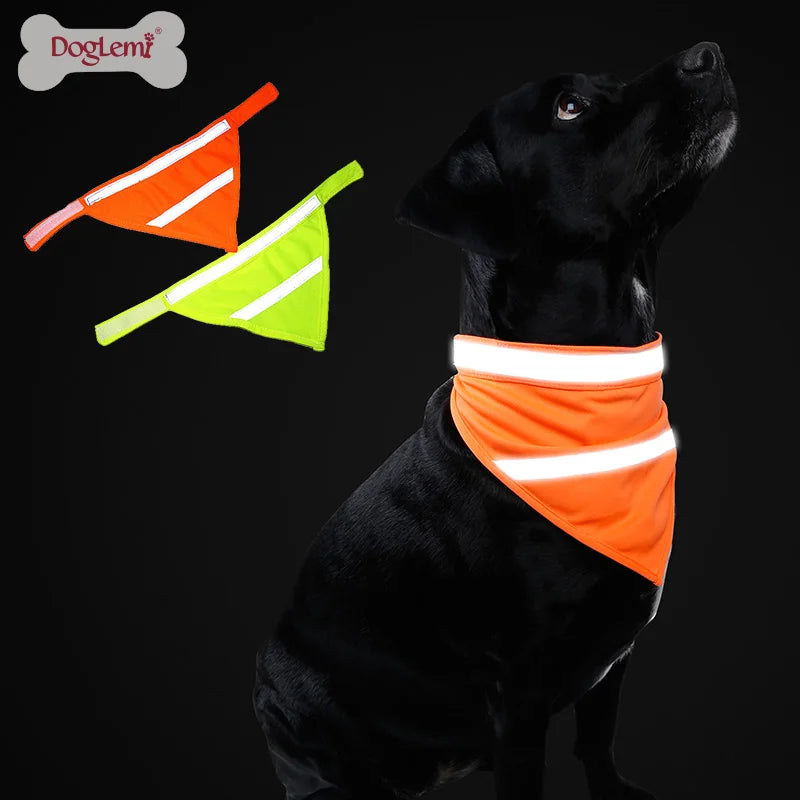 "Adventurer" Reflective Bandana