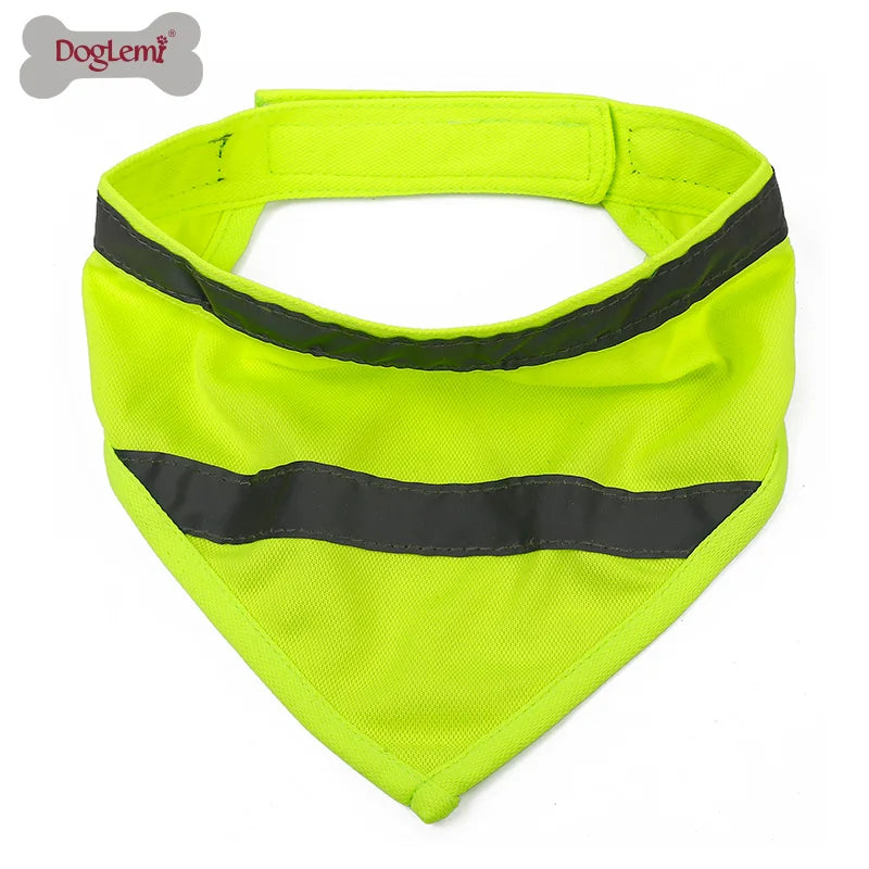 "Adventurer" Reflective Bandana