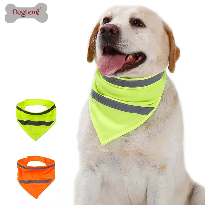 "Adventurer" Reflective Bandana