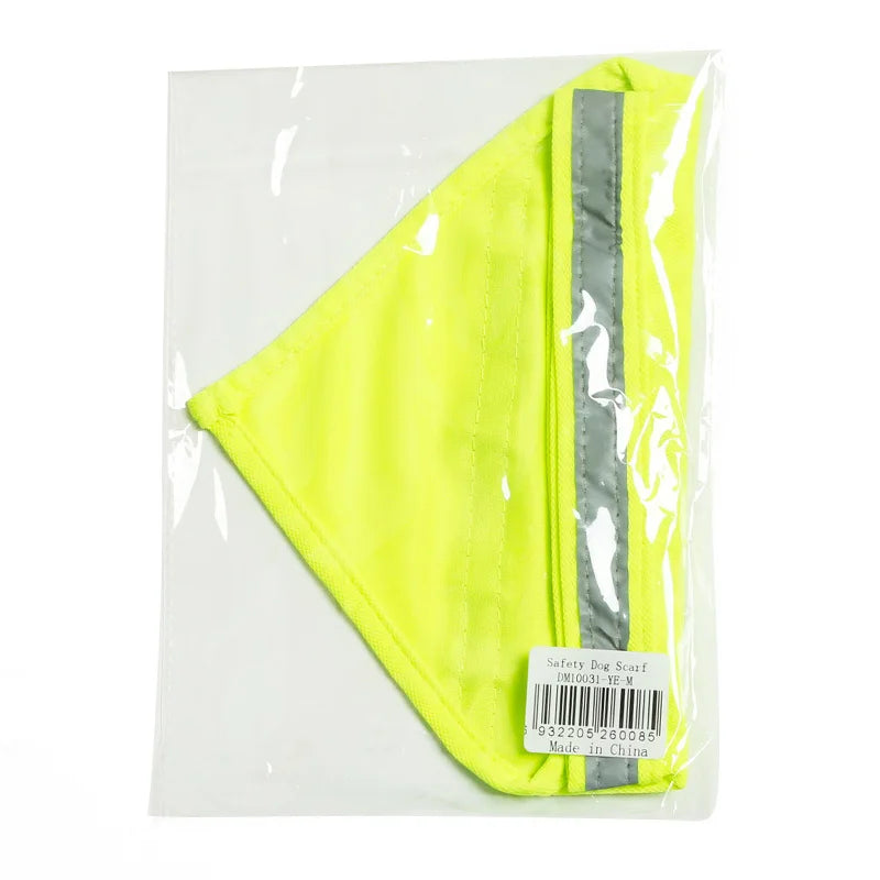 "Adventurer" Reflective Bandana