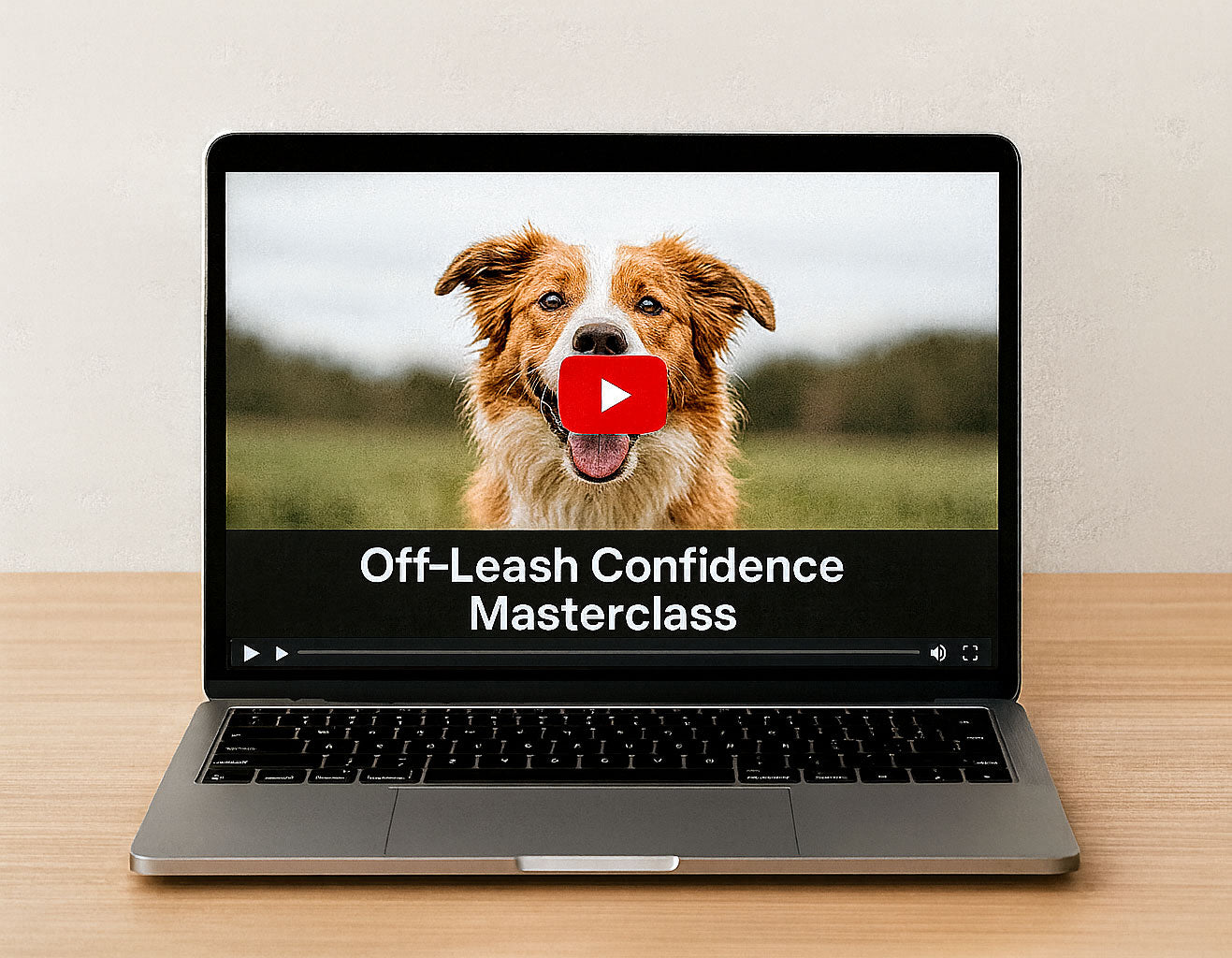 Off-Leash Confidence